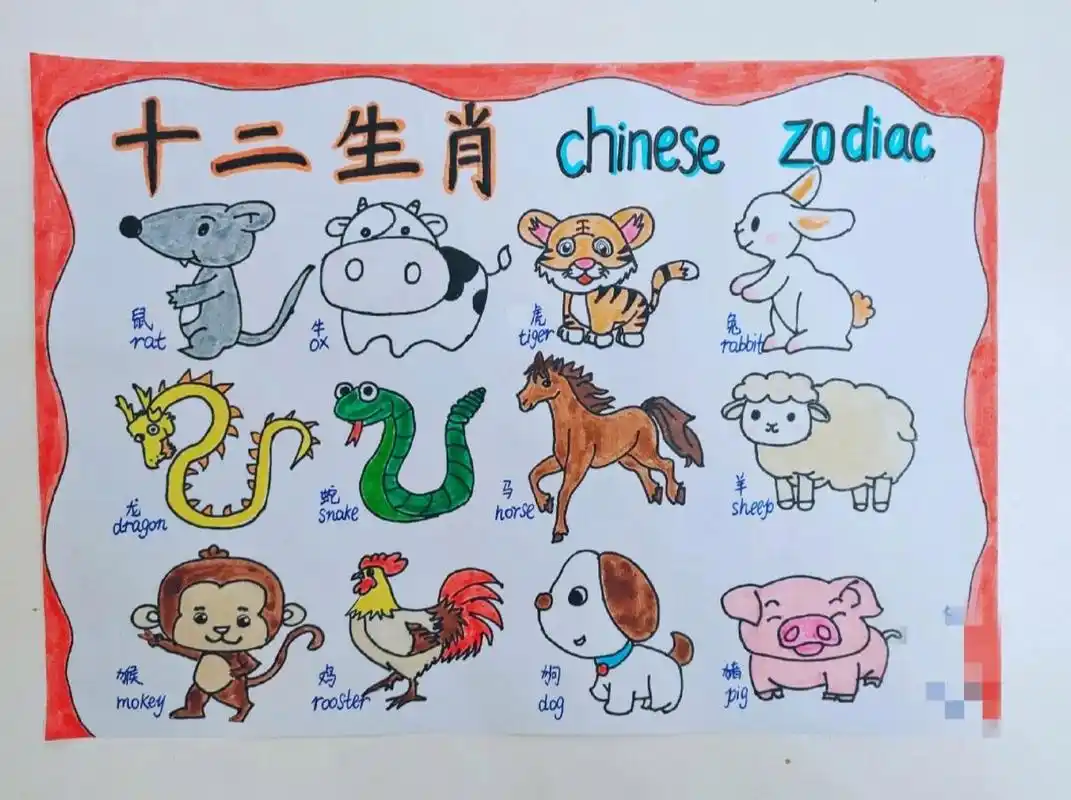 英语十二生肖手抄报
