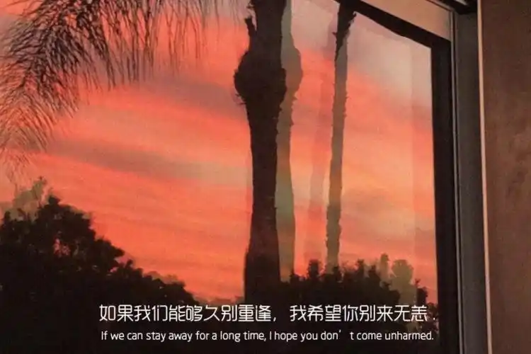 文字壁纸#配图#文案#情人节文案#情人节#小清新壁纸#ins潮图#小清新