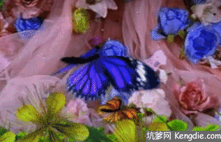 317_204gif 动态图 动图