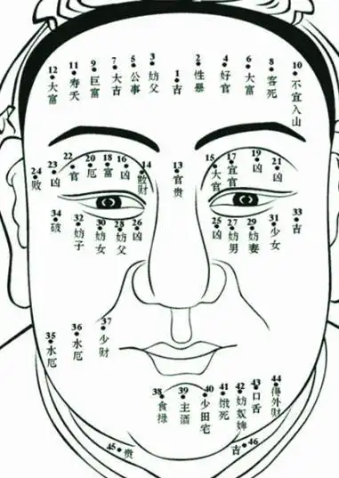 首页 手相和面相大全 面相算命图解 > 脸上的痣代表什么,男人女人脸上