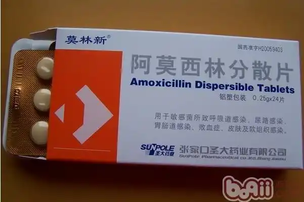 阿莫西林分散片
