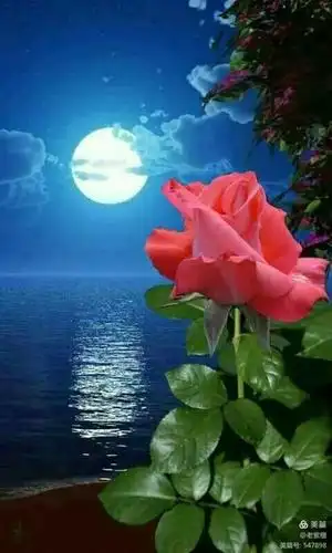 100幅最美月亮图送给你