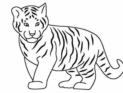 图片带颜色简单又漂亮 休息的老虎怎么画简笔画可爱画法步骤图片大全