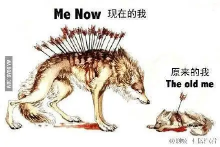 现在的我 原来的我