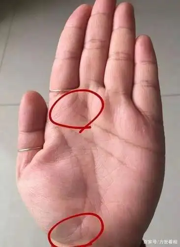 手相图解:几个罕见的纹理,容易发福发贵,珠玉满仓!