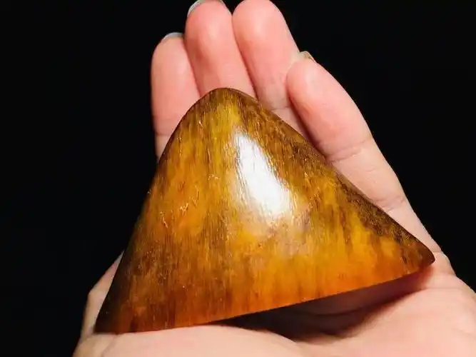 唯一能合法收藏的犀角,你见过吗?_亚洲