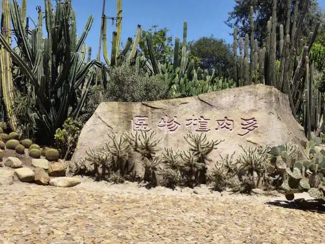 厦门万石植物园游览