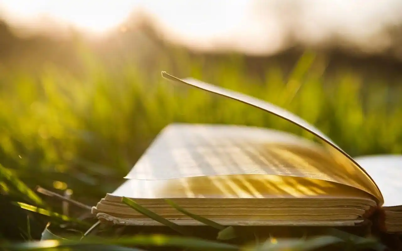 简约书籍文艺风高清图片桌面壁纸