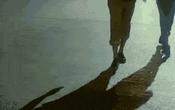 359_226gif 动态图 动图