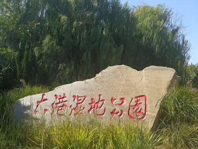 大港湿地公园 - 美篇