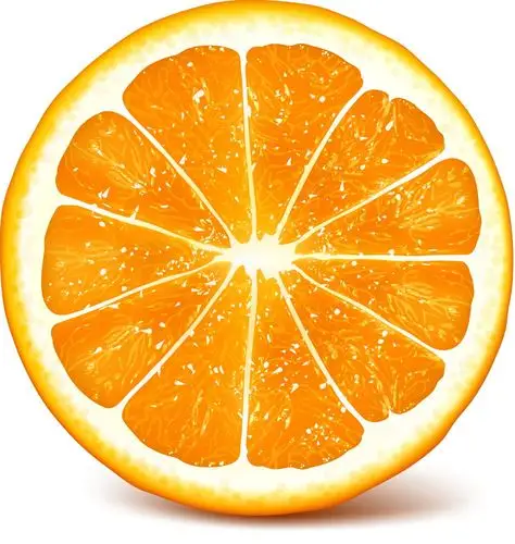 切开的橙子矢量素材下载(图片id:594004)_-餐饮美食-矢量素材_ 集图网
