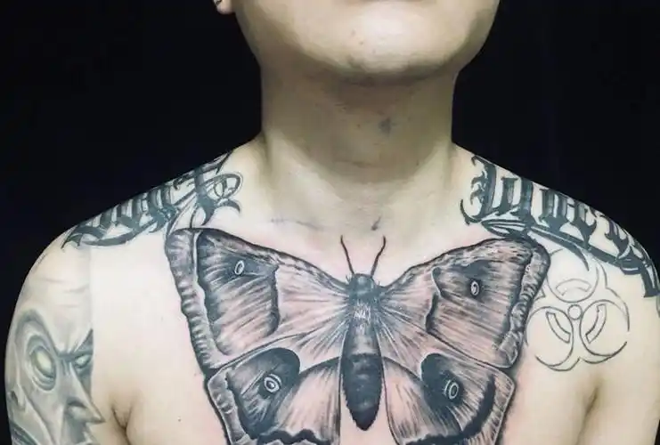 花胸未完成纹身图片成品胸部欧美动物纹身图案