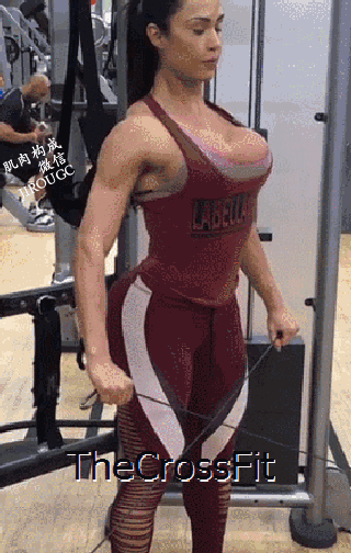 320_504竖版 竖屏gif 动态图 动图