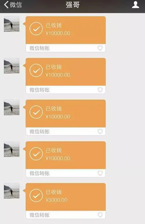 6万3千元的转账记录"真的不知道怎么感谢您……"赵小强在微信中邀请
