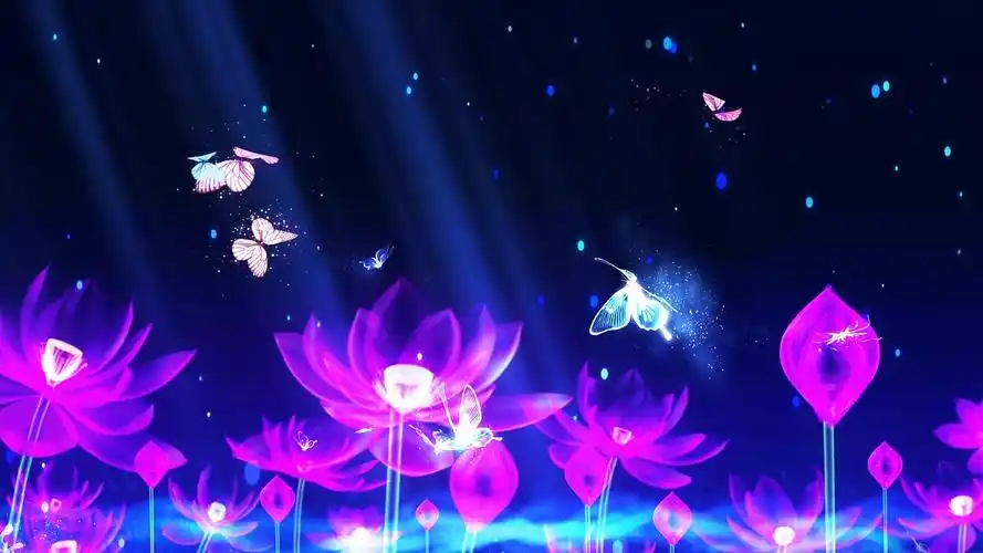 4k唯美荧光荷花蝴蝶背景视频荷塘月色背景