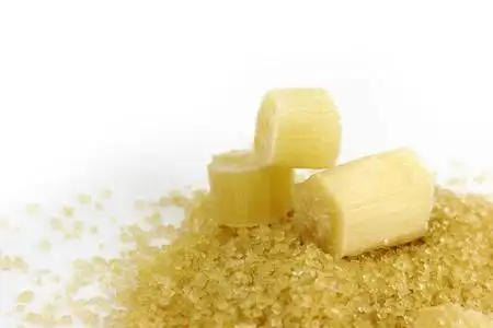 桩甘蔗图片-桩甘蔗素材-桩甘蔗插画-摄图新视界