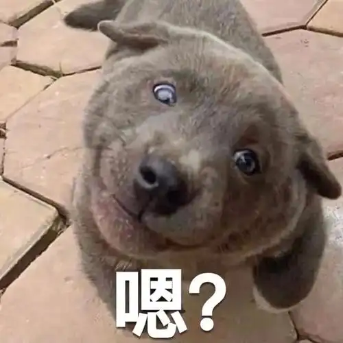 114张搞笑沙雕的gif表情包 - 知乎