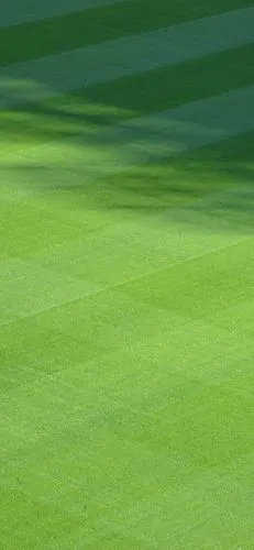 绿色- 堆糖,美图壁纸兴趣社区