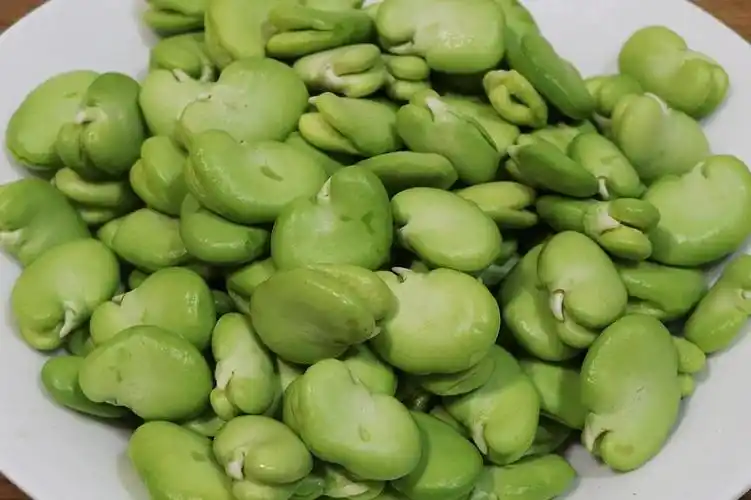 油酥蚕豆米的简单做法,蚕豆酥脆清香,很适合下酒,拿肉都不换