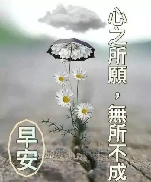 2021早安问候祝福图片集锦清晨问候祝福朋友的早安美图