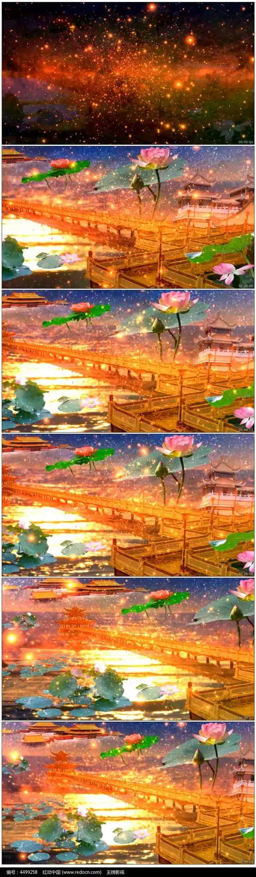 宇宙极乐世界莲花视频背景