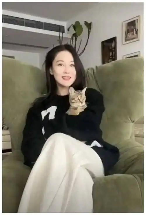 张馨予广东豪宅日常何捷军官身份携爱猫现身甜蜜生活引人艳羡