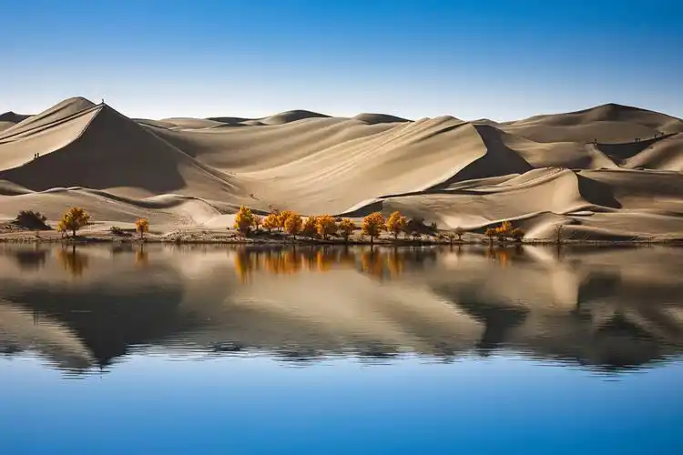 新疆尉犁的罗布湖