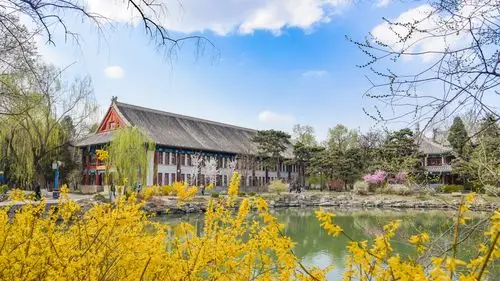 北京大学新闻网