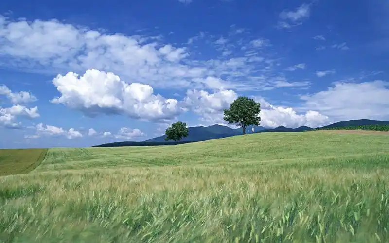 绿色草原高清风景图片桌面壁纸