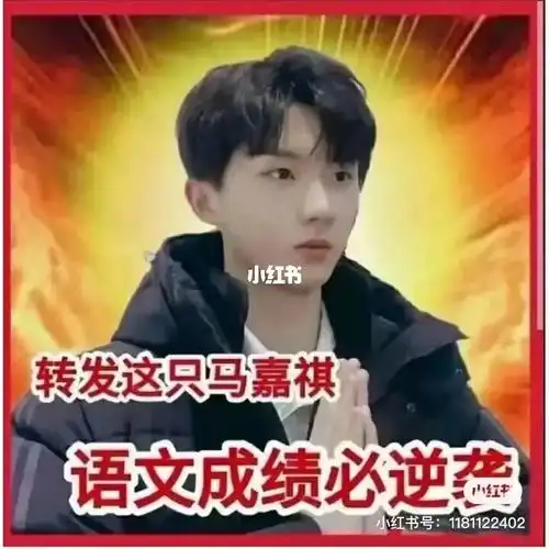 祝马嘉祺高考顺利