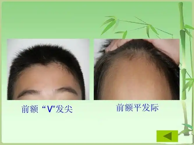 新教科版六年级科学上册第4单元第5课《相貌各异的我们》ppt课件