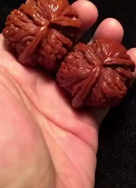 盘红的犀牛角文玩核桃