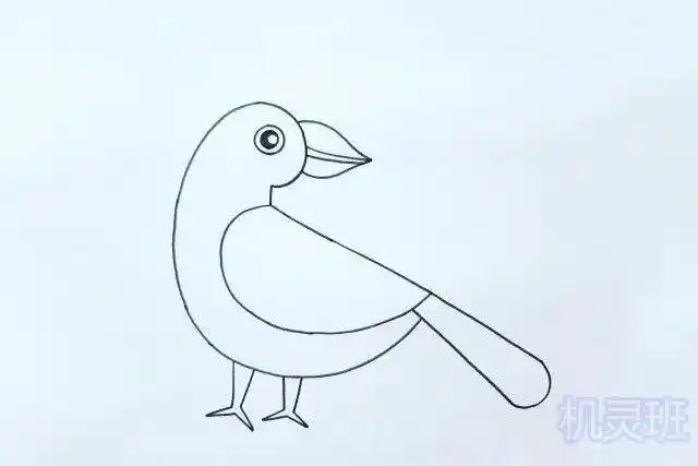 教孩子画画:怎么简单画侧面站着的鸟(步骤图解)5