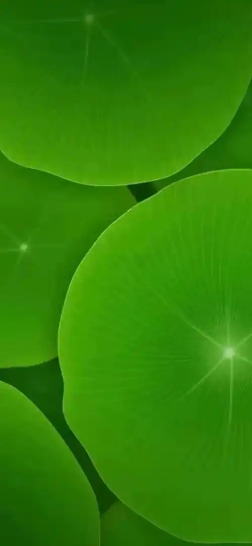 绿色养眼高清壁纸