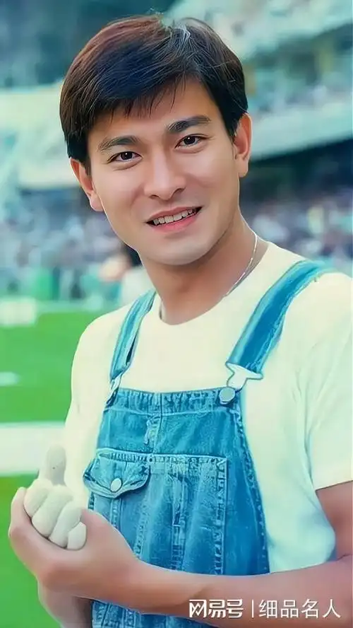 事业婚姻尽是泪告诉你一个不一样的刘德华