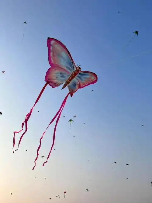 蝴蝶风筝真的太漂亮了!  #有没有人能管管潍坊的风筝啊