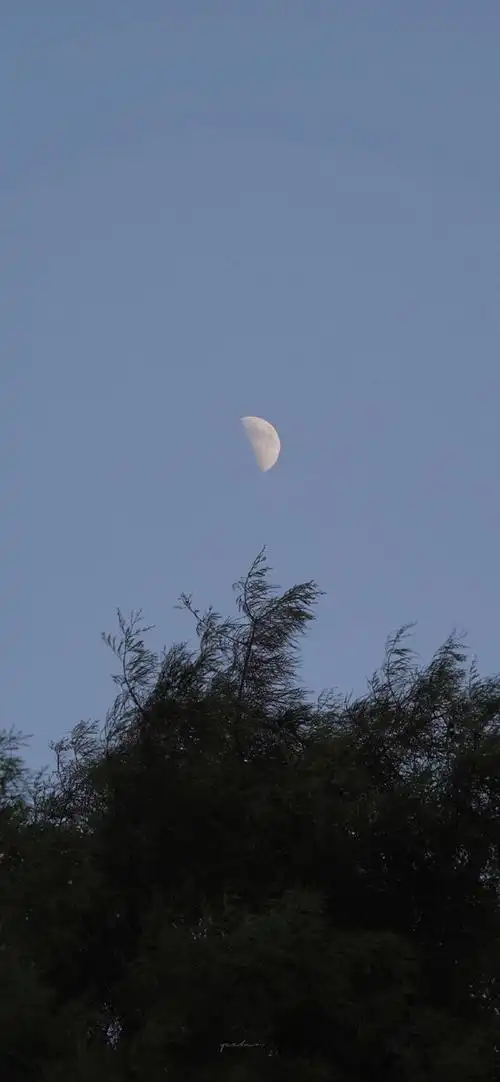 ins手机壁纸高清无水印 欧美风微信聊天背景图