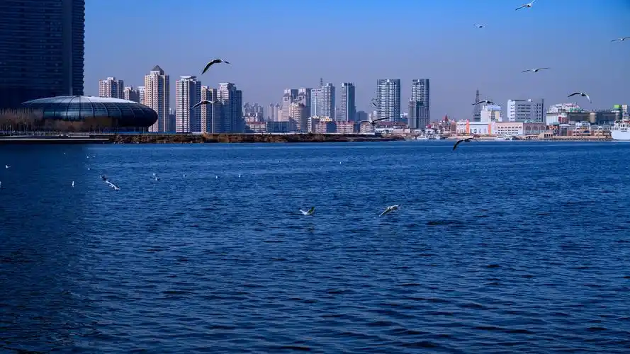 天津风光塘沽海河风光