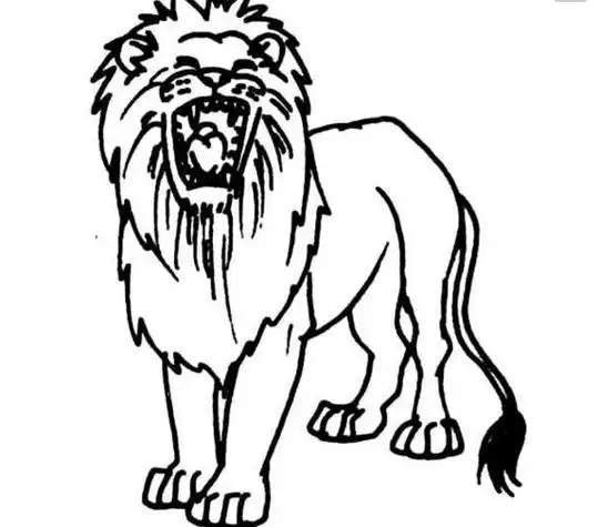 九头狮子简笔画 简笔画图片大全-普车都