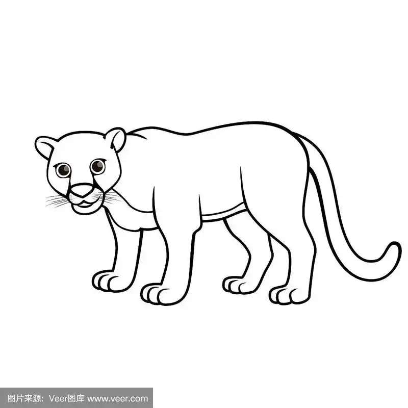 矢量插图的美洲狮孤立的白色背景.儿童涂色书.