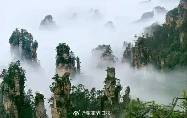 张家界武陵源,四川九寨沟及黄龙风景名胜区共同签署打造"中国最美山水