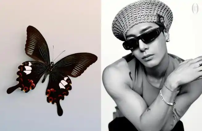 王嘉尔lv品牌代言人##0328王嘉尔生日快乐##王嘉尔