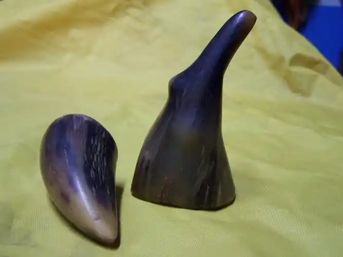 旧犀牛角两个