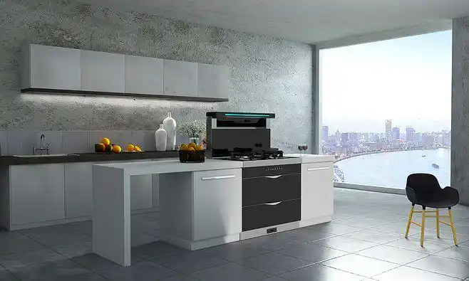 厨房电器油烟机集成灶燃气灶高端豪普电器三维室内效果图大吸力烤箱