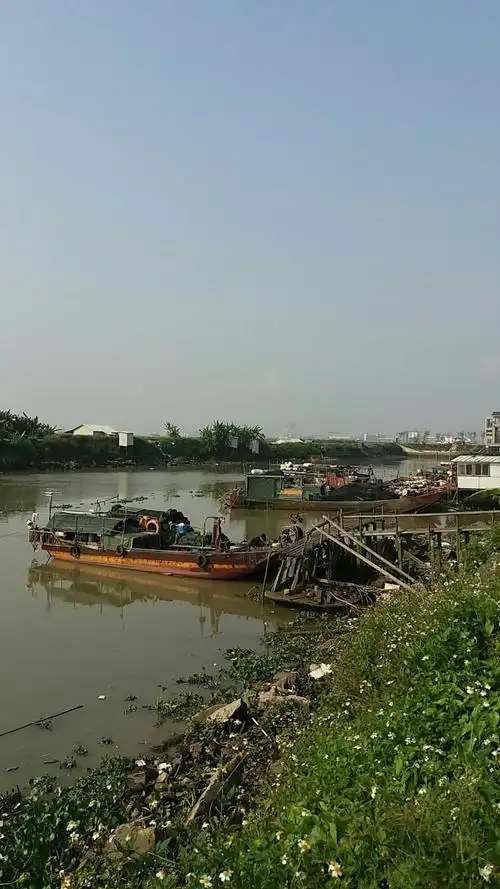 广东省广州市南沙区万顷沙镇_天气预报查询 - 墨迹天气