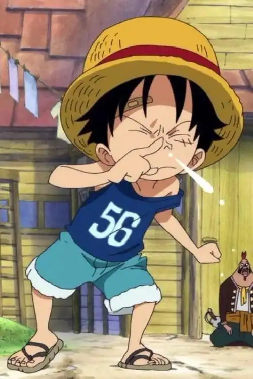 小路飞 - 堆糖,美图壁纸兴趣社区