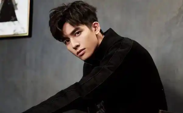 韩国人眼中最帅的10位中国人眼光跟我们大不相同你认识几位