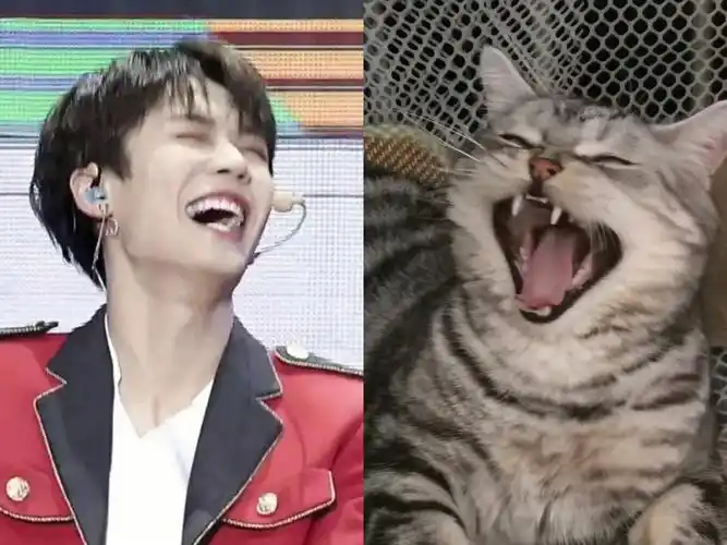 下次还敢哈哈哈哈哈哈#林彦俊  #宝藏男孩林彦俊  #疯狂安利林彦俊