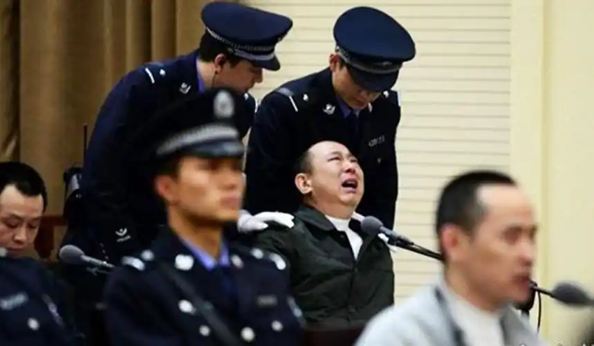 1993年以来,被告人刘汉,刘维伙同他人以合法成立的四川汉龙集团等公司