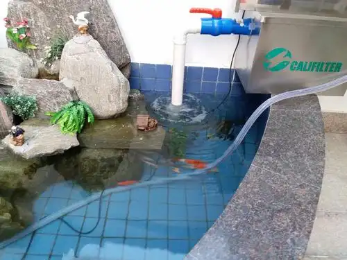 庭院中的鱼池做过滤系统需要做什么?